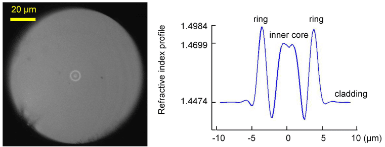 Fig.1. Cross-section and refractive index of the M-profile fiber.